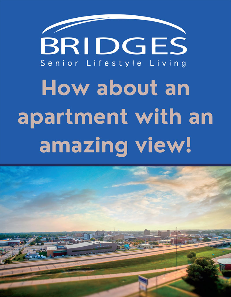 Bridges - How About an apartment with an amazing view!